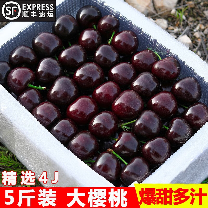 Spot Meizao large cherries fresh Chilean imported cherries fruit seasonal gift box for pregnant women 2500g (net weight) Fruit King 4J32-34mm