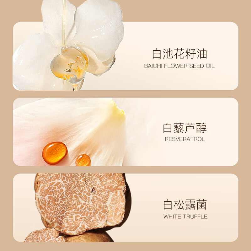 ZEESEA Nourishing Color Concealer Plate Pore Invisible Beauty Spot Concealer Makeup Makeup Traceless Three-Color Concealer 3g New Year