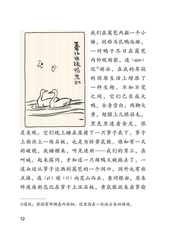 White Goose, Volume 2 for Grade 4, by Feng Zikai, Illustrated Edition, People's Education Press Text Writer Series, Supporting Readings for Chinese Textbooks, The work of the same name is included in Chinese textbooks for primary and secondary schools