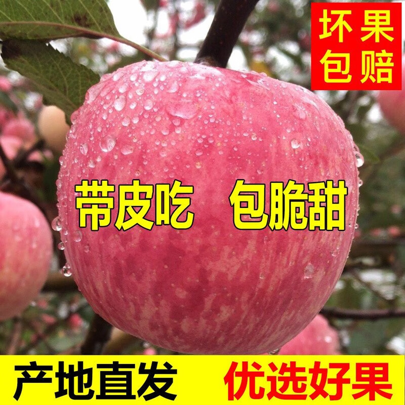 Erdie Shaanxi Red Fuji Apple Fresh Fruit 10 Jin Rock Candy Heart Seasonal Ugly Apple Seasonal Fruit Crisp Sweet Whole Box Selected 9 Jin Pack Net Weight 8.5 Jin 75-80mm