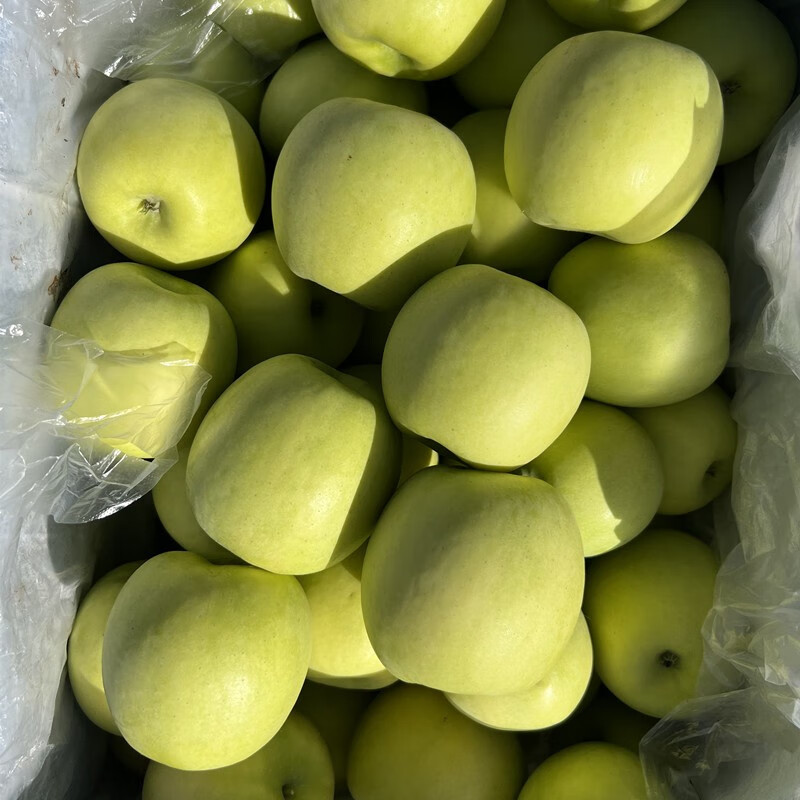 Shuaidui Shaanxi Baishui Ruixue Apple Authentic 2025 Season Fresh Crisp Sweet Fragrant Green Apple Premium Fruit Gift Box Full Box Selected 4.5 Jin Large Fruit 80-85mm About 9-10 Pieces