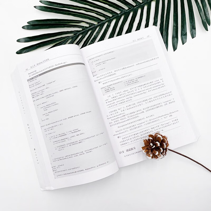 Core principles of reverse engineering (produced by Turing)