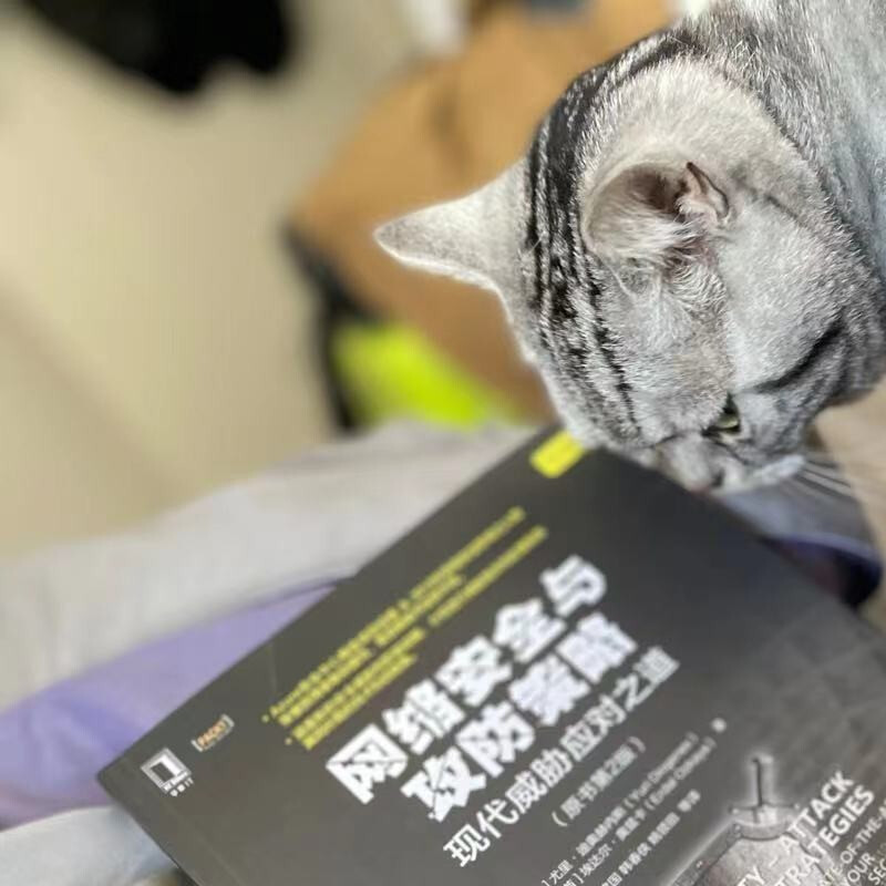 Network security and offensive and defensive strategies: How to deal with modern threats (2nd edition of the original book)