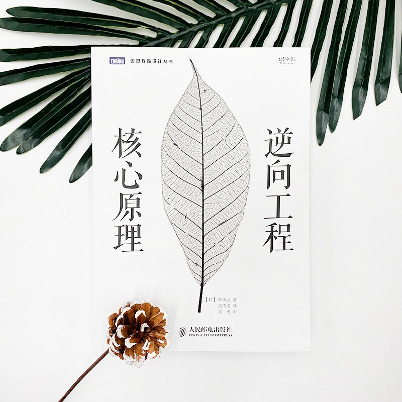 Core principles of reverse engineering (produced by Turing)