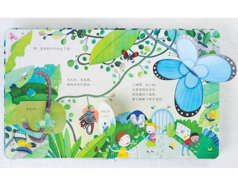 Take a peek inside the selection/Usborne (set of 6 volumes in total)