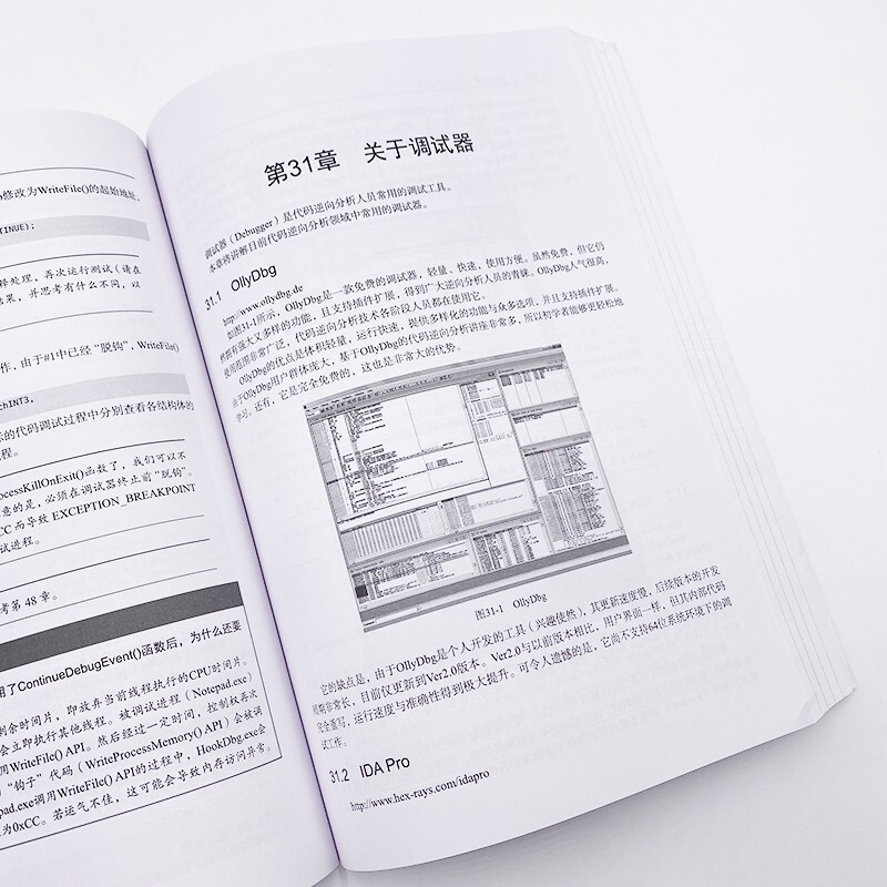 Core principles of reverse engineering (produced by Turing)
