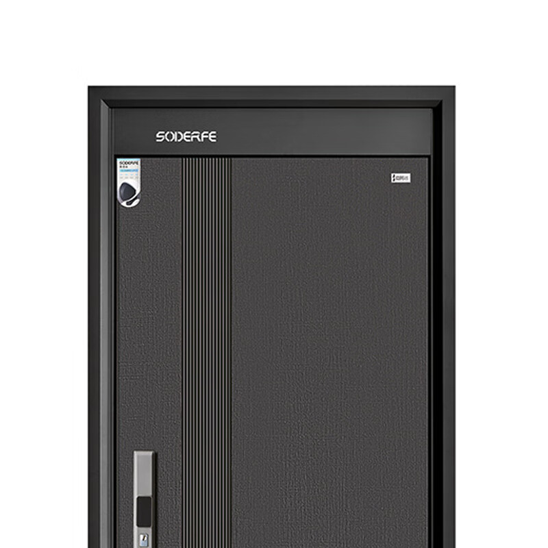 Sodelphi D-1019 Class A anti-theft door security door entry door smart door single door