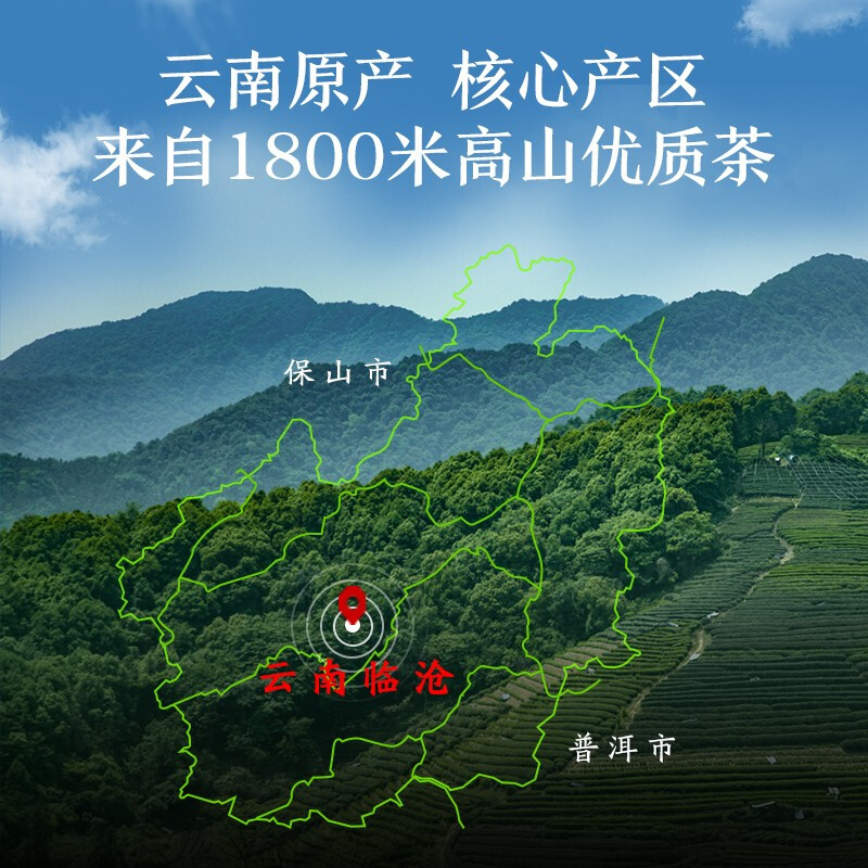 Made in Tokyo Zuijun Pu'er Tea Ripe Tea Cake 357g 2019 Spring Tea Aged Tea Gift Box Self-operated Gift Box New Year's Gift Box