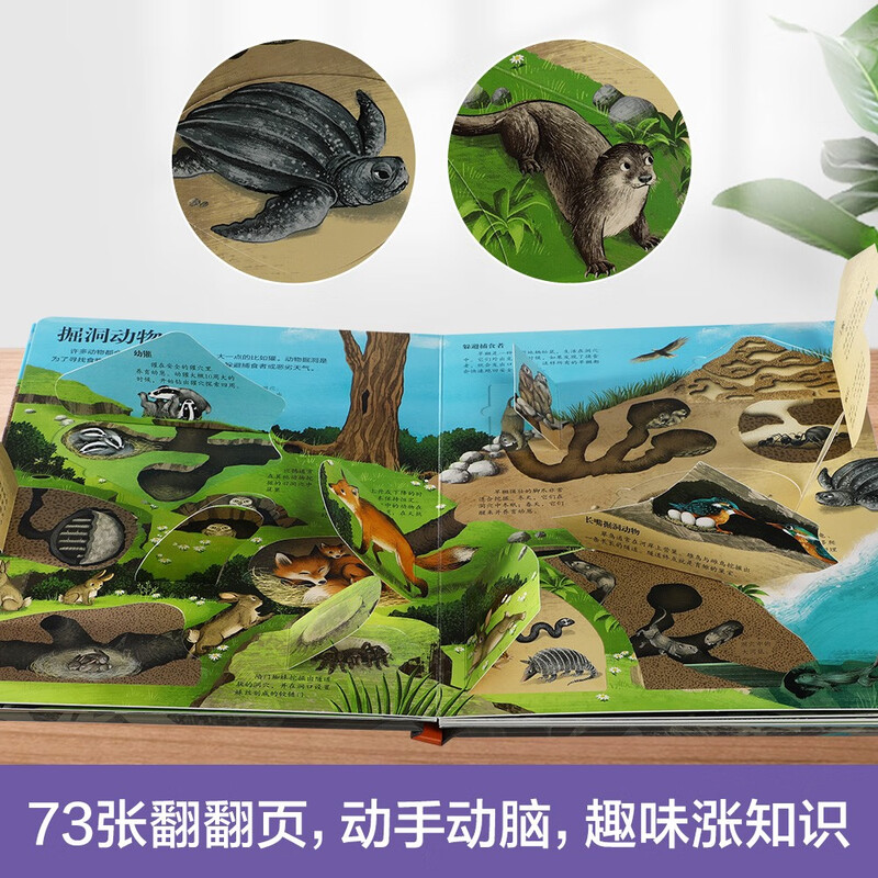18 yuan off for purchases over 87. Revealing the Underground (popular science flipping book for children aged 3-6) Le Fun Children’s Book Revealing Series Children’s Enlightenment Popular Science Pop-up Books Children’s Book Festival Children’s Day