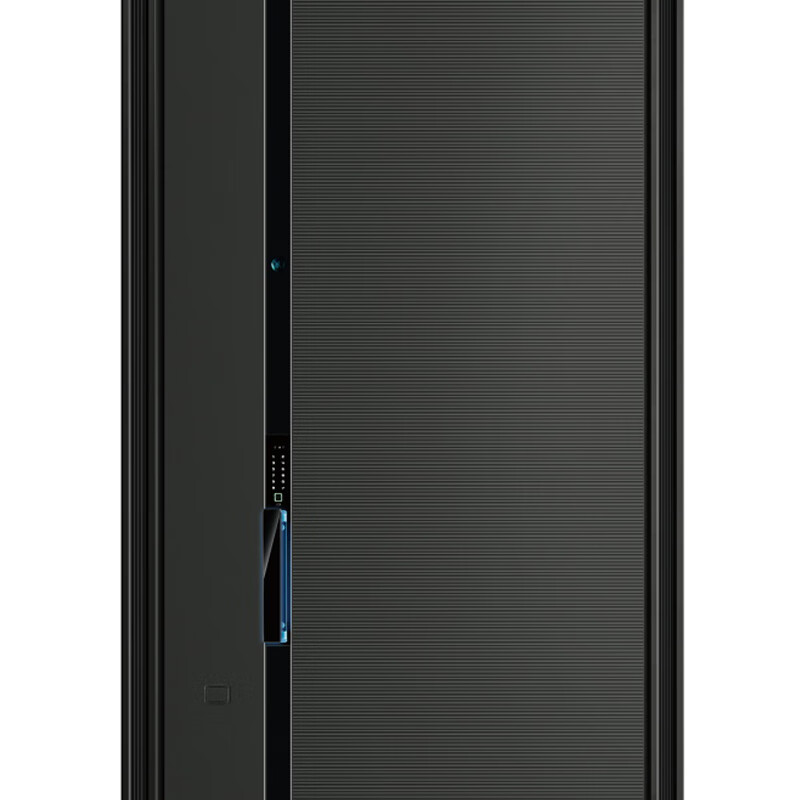Dikasi DKX-way ahead No. 2 2050*960 anti-theft door security door entry door smart door light luxury door