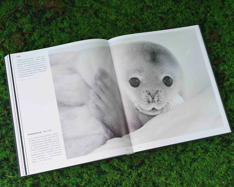 Born to be wild (conveying the power of life, selected from the 4 years of the China Wildlife Image Annual Competition, 219 natural photography works. Interpretation of wild nature, five-color printing, vivid details.)