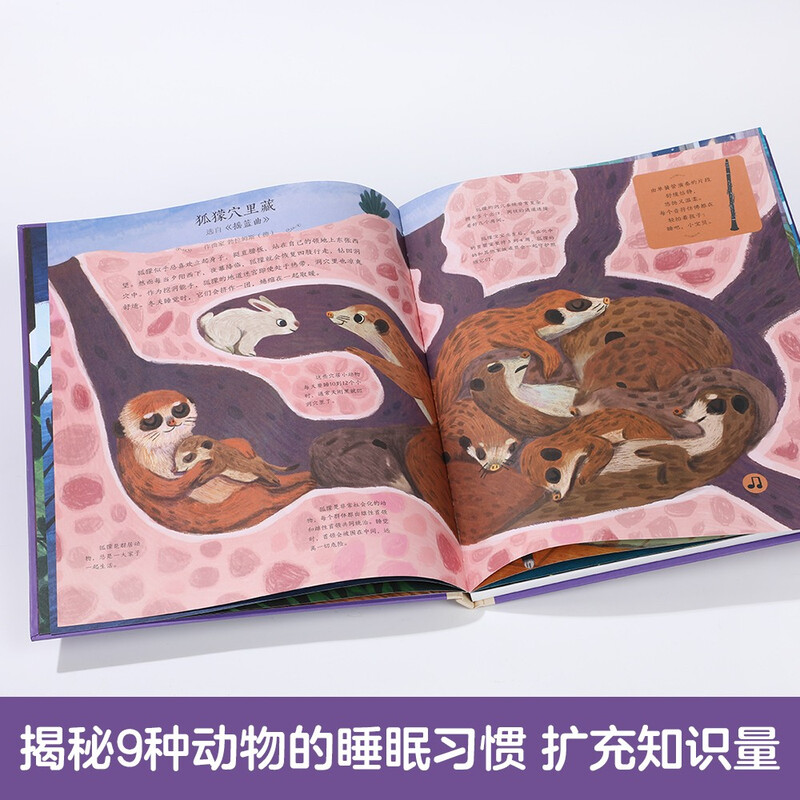 Fun Sound Book Welcome to the Concert Hall - Baby Bedtime Music 0-6 Years Old Infant and Toddler Enlightenment Preschool Music Enlightenment Sound Book