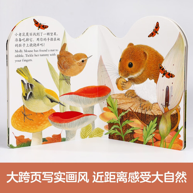 Bright and exquisite touch book series point reading version (all 4 volumes) Bunny Billy simulation touch book early childhood education book 0-2 years old cognitive picture book for young children Le Fun Children's Book