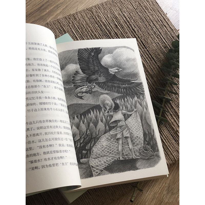 Looking for the Fish King (new edition) Mao Dun Literary Award winner Zhang Wei’s work won the China Good Book Award Recommended reading books by New Oriental founder Yu Minhong Reading extracurricular books Extracurricular independent reading Summer holiday reading Must-read Children’s gifts Recommended book list for primary school students