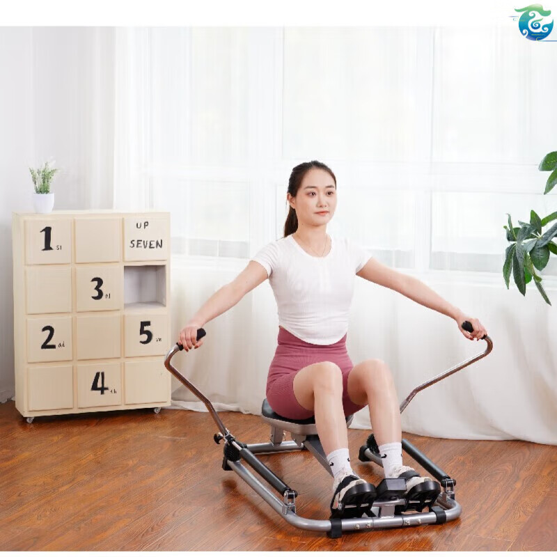 Luo Zhuodou rowing machine household foldable silent indoor water resistance hydraulic rowing machine suspended rowing machine fitness equipment black single paddle foldable height adjustable