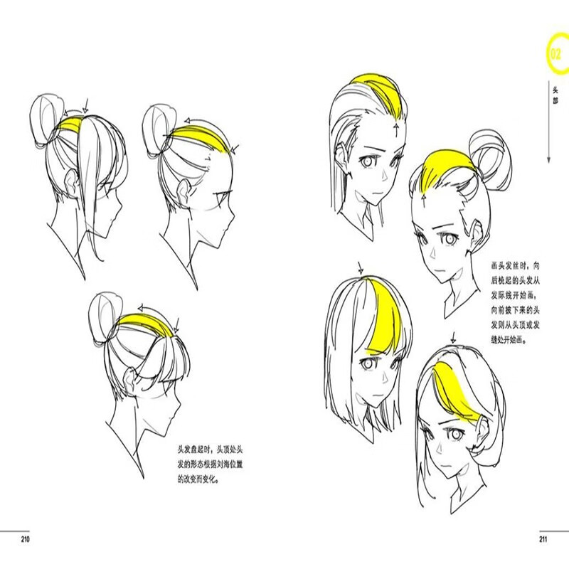 Human body structure drawing key points