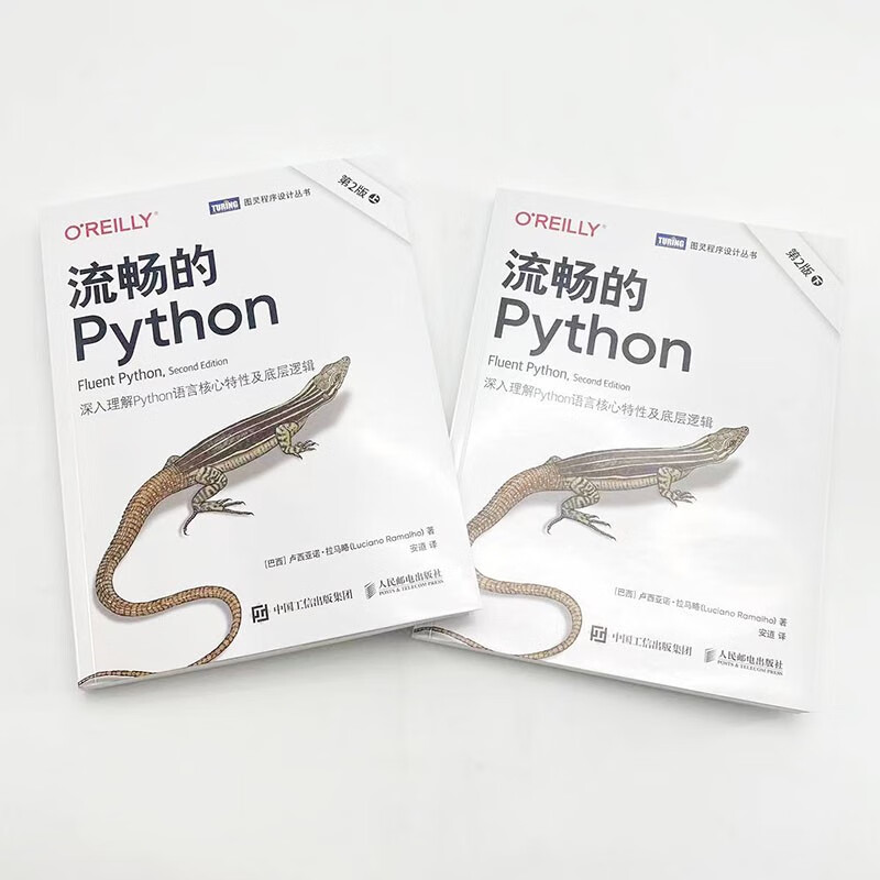 Fluent Python (2nd Edition) (by Turing)