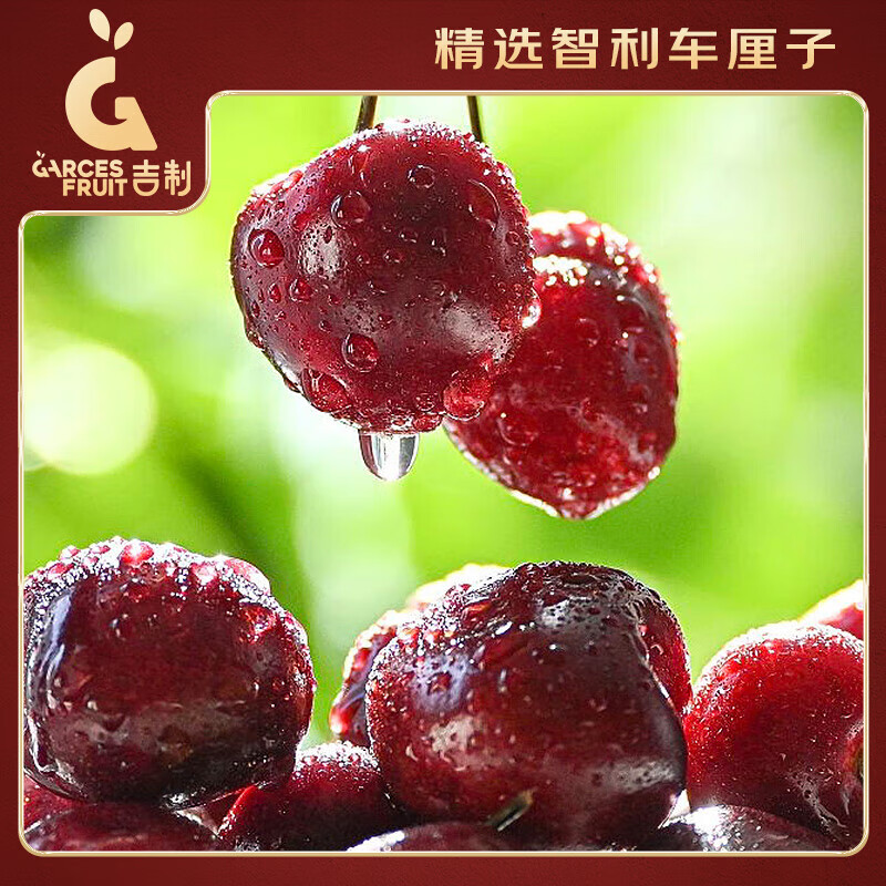 Jingxiansheng GarcesFruit Lapins Chilean cherries 2J grade 5 catties gift box straight from the source