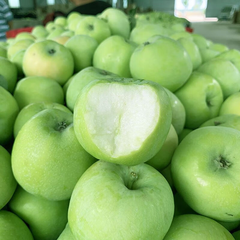 Jingdida Shanxi Green Apple, net weight 4.5kg, single fruit starting from 130g, small apple sweet and sour, direct shipping from the source, free shipping