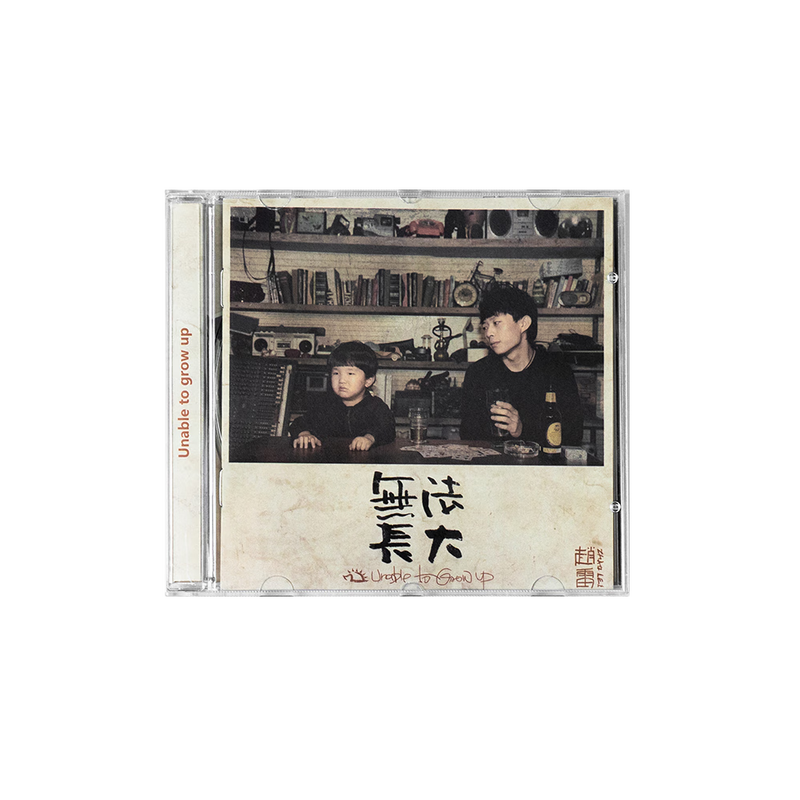 Official genuine Zhao Lei CD physical album Shuqian Street Boy/Zhao Xiaolei/Jim's Restaurant/Zhao Xiaolei I Remember/Drum Tower/Youth/Chengdu Classic Folk Album Car Music Can't Grow Up