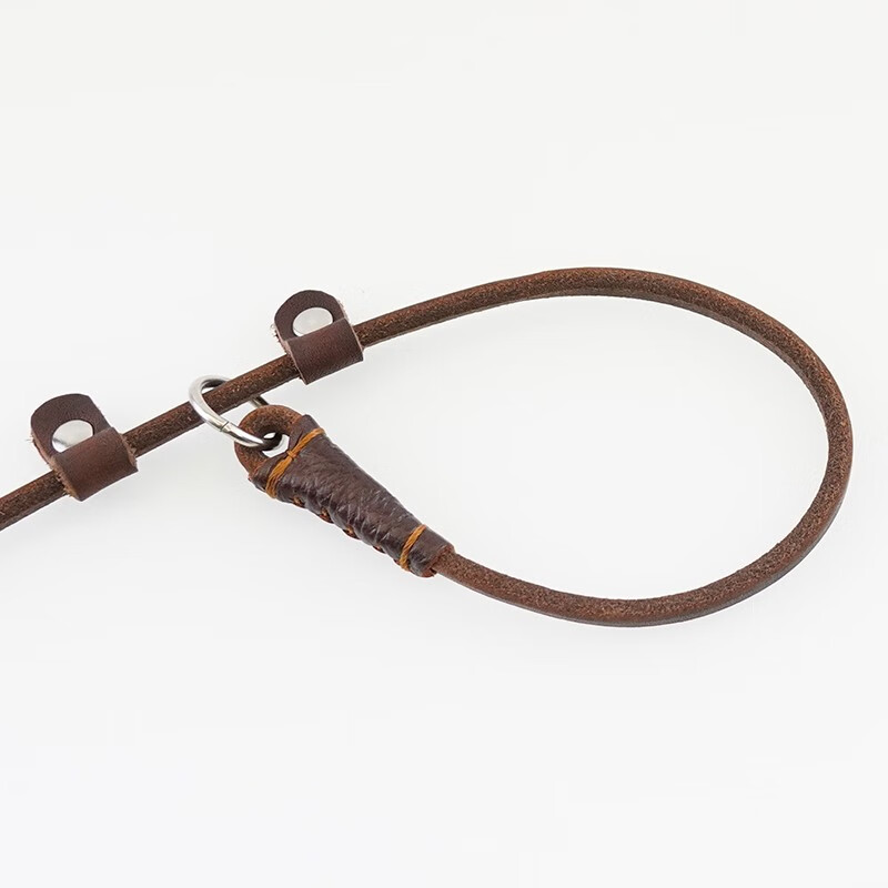 Juchuangqi dog leather P chain traction rope for puppies, small dog chain traction rope, P chain training rope, racing chain dog leash, suitable for small dogs under 20 pounds, about 1.5 meters long * about 0.5 cm thick