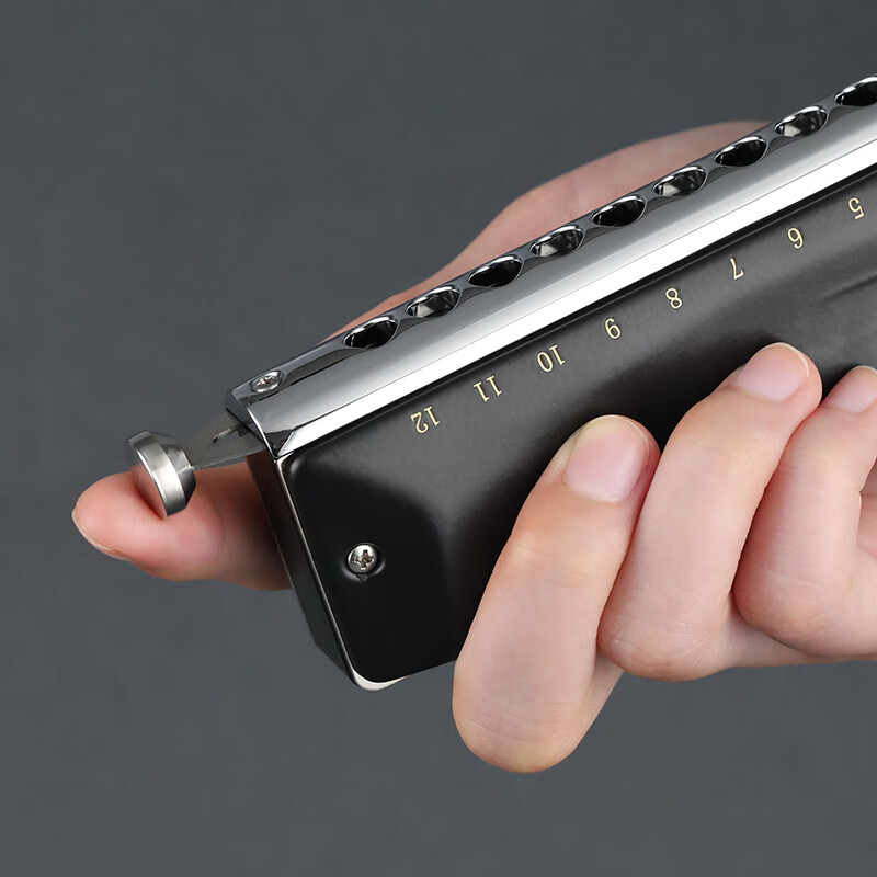 JDR JDR chromatic harmonica 12-hole C key GM-0648 imported gongs for beginners and professional players - matte black