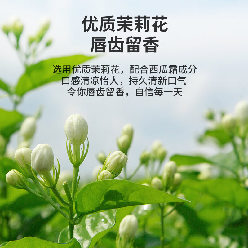 Sanjin Watermelon Cream Toothpaste Fresh Breath Deep Cleansing Oral Care Qing Yan Gum Care Classic Tooth Yan Qing Toothpaste