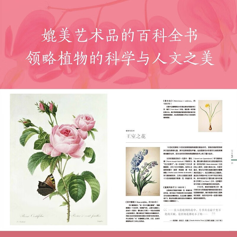 DK Plant Encyclopedia (New Edition) Collection-level Plant Atlas Explore Plant Secrets JD.com Self-operated Genuine