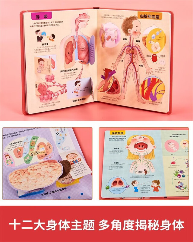 Reveal My Body Flip Book Genuine Book Children's 3D Three-dimensional Book Children's Picture Book Genuine 3-6-9-12 Years Old Children Early Education Human Body Popular Science Encyclopedia Flip Children's Book Revealing Body Early Education Sex Enlightenment Children's Education Encyclopedia Baby Cannot Tear Children's Picture Book Elementary School Students Must-Read Popular Science Encyclopedia Extracurricular Reading Books