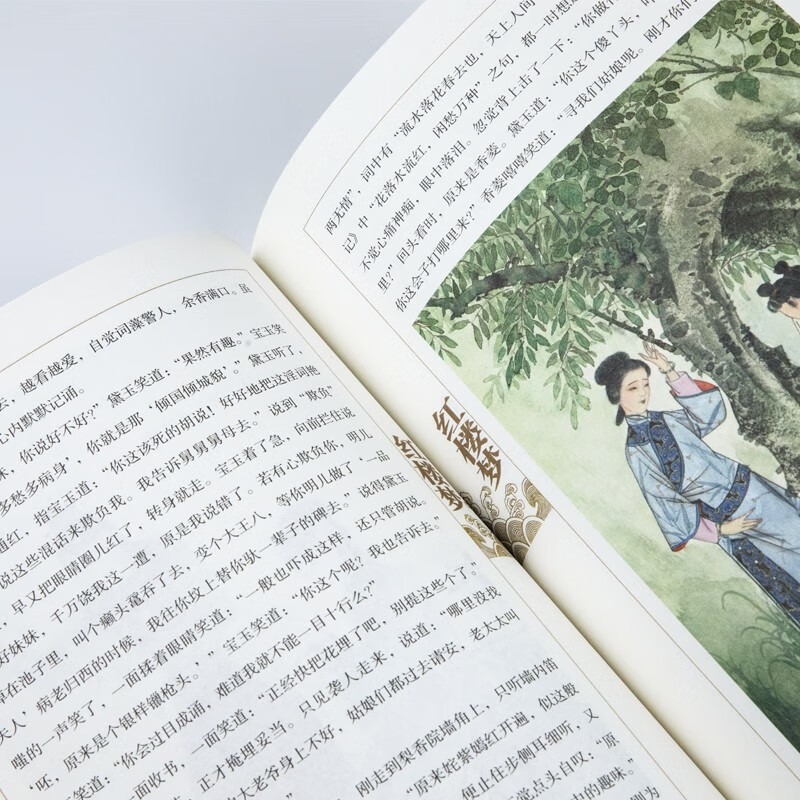 The Four Great Classics Volume 1 and 2 Dream of Red Mansions Illustrated Edition Basic Reading List for Students Chinese Classical Literature Classics Suitable for Teenagers to Read Vernacular Extracurricular Reading