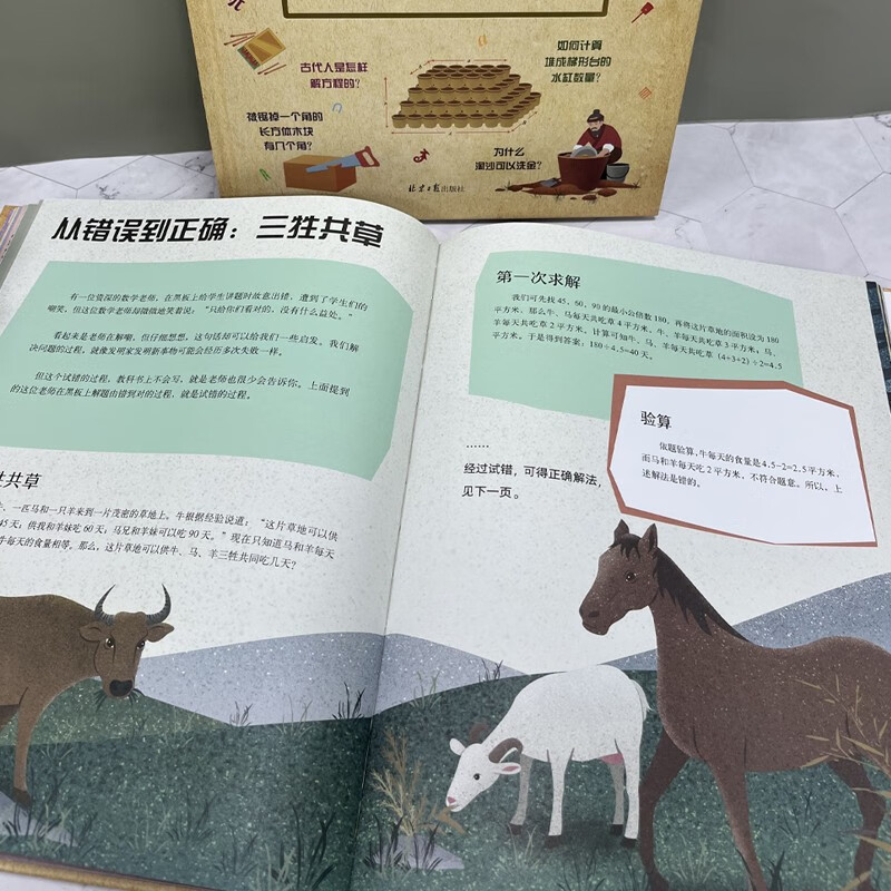 Amazing mathematical thinking (China)