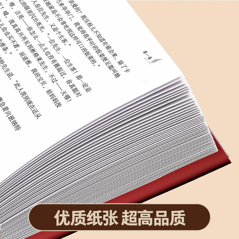 World Classic Literature Famous Series Pride and Prejudice Extracurricular Reading of Classics for Junior High School Students and Adults