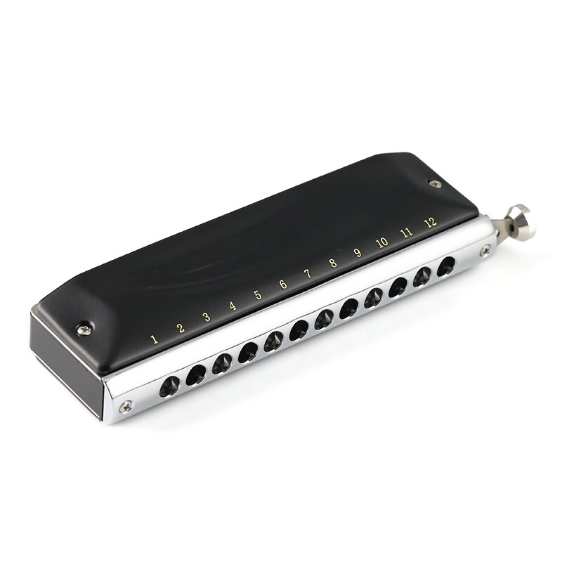 JDR JDR chromatic harmonica 12-hole C key GM-0648 imported gongs for beginners and professional players - matte black