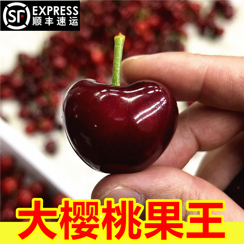 Spot Meizao large cherries fresh Chilean imported cherries fruit seasonal gift box for pregnant women 2500g (net weight) Fruit King 4J32-34mm
