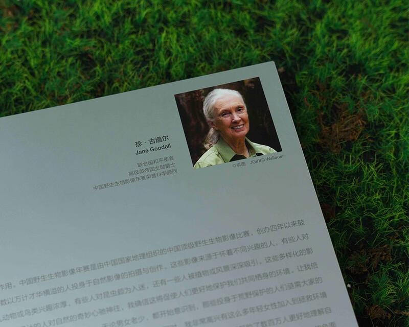 Born to be wild (conveying the power of life, selected from the 4 years of the China Wildlife Image Annual Competition, 219 natural photography works. Interpretation of wild nature, five-color printing, vivid details.)