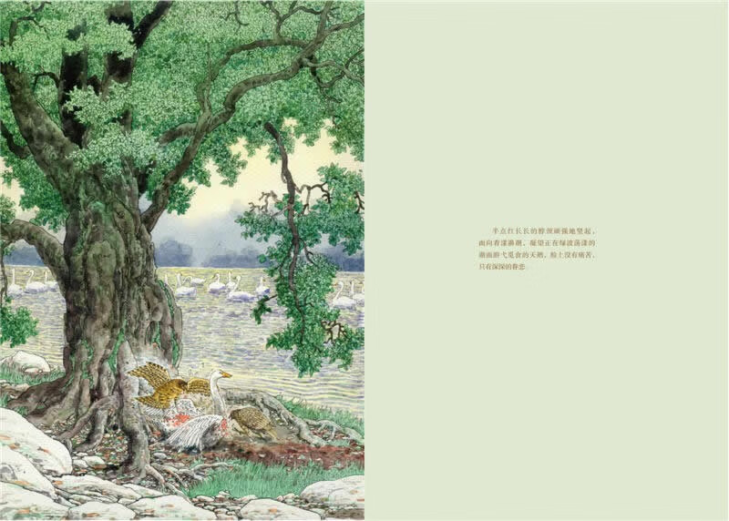 Swan Lake Red Coral Upgraded Edition Animal Novels King Shen Shixi's Book Collection Series Extracurricular Children's Literature Storybook for Primary School Students in Grades Three, Four, Five and Six