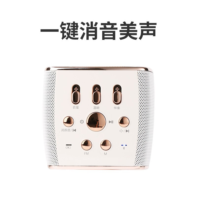 Quanmeng karaoke microphone and audio integrated home KTV singing recording artifact outdoor entertainment live broadcast comes with sound card wireless Bluetooth microphone speaker equipment