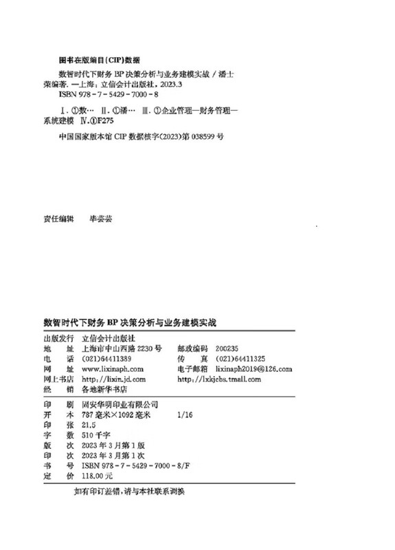Financial BP decision analysis and business modeling practice in the era of digital intelligence