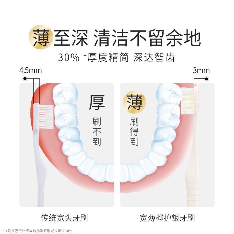 Lion Fine Teeth Cleaning Wide Thin Wide Head Soft Bristle Toothbrush 7 Rows 61 Holes Fine Bristle Adult Toothbrush Wide Thin Coconut Gum Protector 2 Pieces