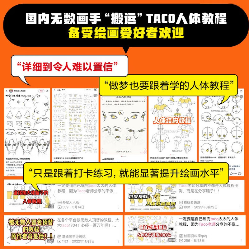 Human body structure drawing key points