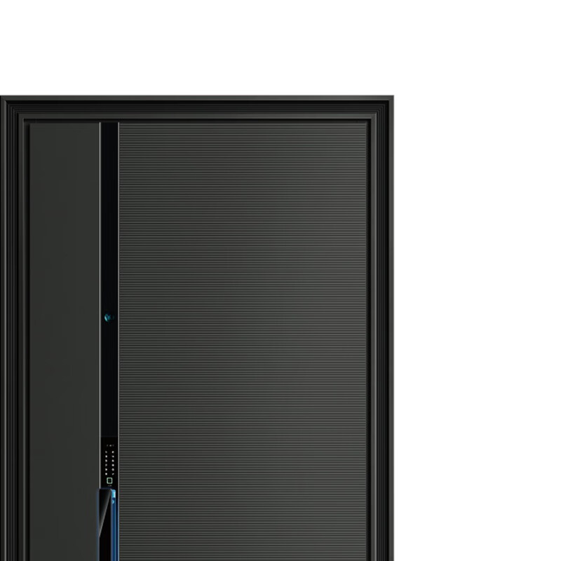 Dikasi DKX-way ahead No. 2 2050*960 anti-theft door security door entry door smart door light luxury door