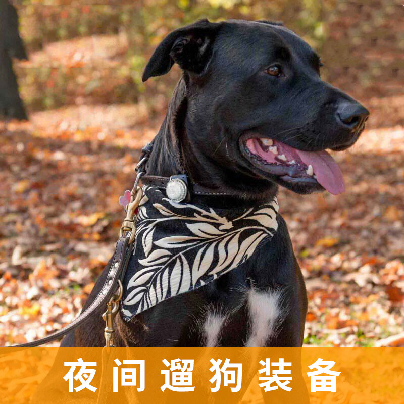 No-pet dog products, anti-lost dog walking lamp at night, anti-lost artifact, pet collar, luminous pendant, LED luminous bell, red