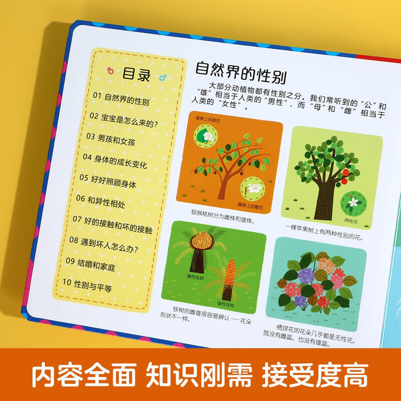 Gender knowledge interactive game book 3-6 years old fun children's popular science enlightenment flip book kindergarten picture book (children's physiological education enlightenment)