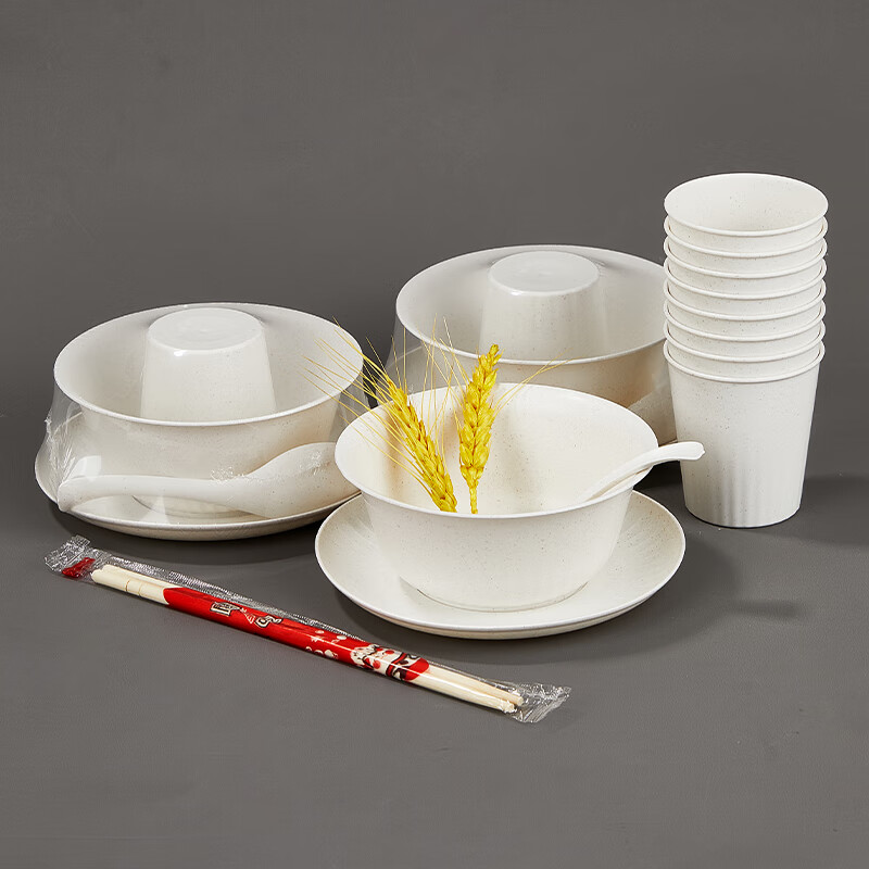 Youao disposable tableware set for 20 people, plates, bowls, chopsticks, cups and spoons, large thickened 5-piece set for partying, no-wash