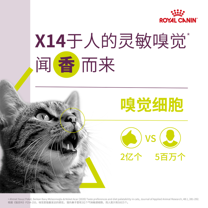 Royal Sensory Feast Cat Wet Food - Rich Fragrance (Thick Soup Meat) Soft Package Canned SSGP 85g*12 Imported