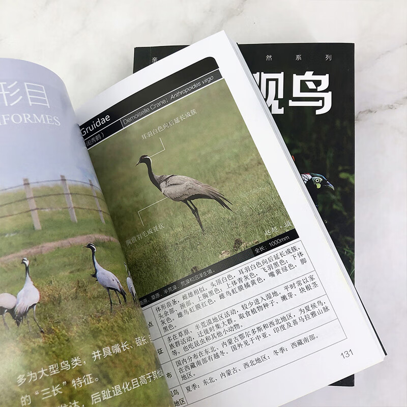 Close to Nature Series Field Bird Watching Manual (Second Edition) 368 species of Chinese birds in 20 orders, 72 families, identification key points, ecological characteristics, distribution habitats, best bird watching time and area, etc.