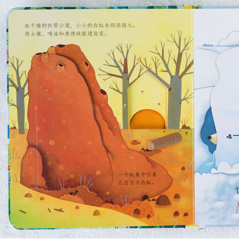 Take a peek inside the selection/Usborne (set of 6 volumes in total)