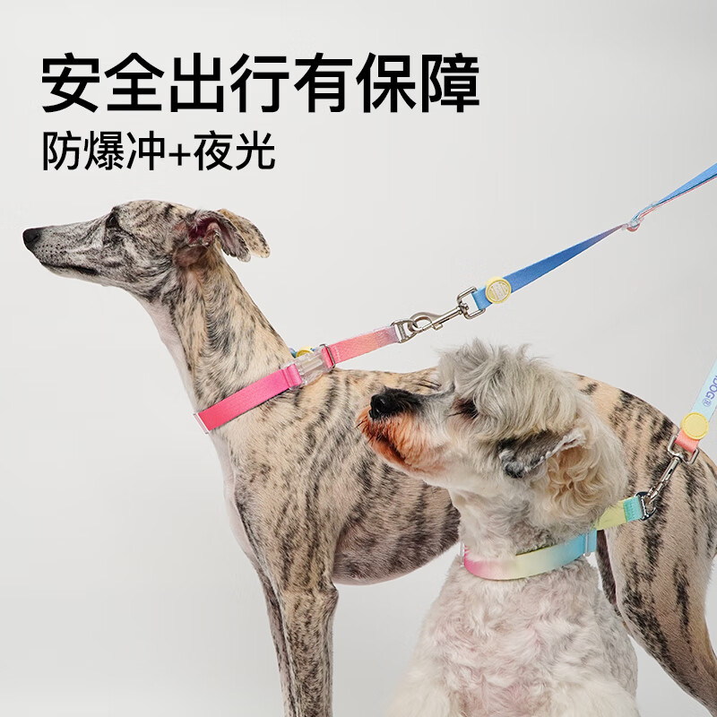 TOUCHDOG it it dog p chain collar collar traction rope dog walking chain small, medium and large dog training dog pet explosion-proof punch P chain-Sunrise Xiaguang S size recommended 5-20 pounds