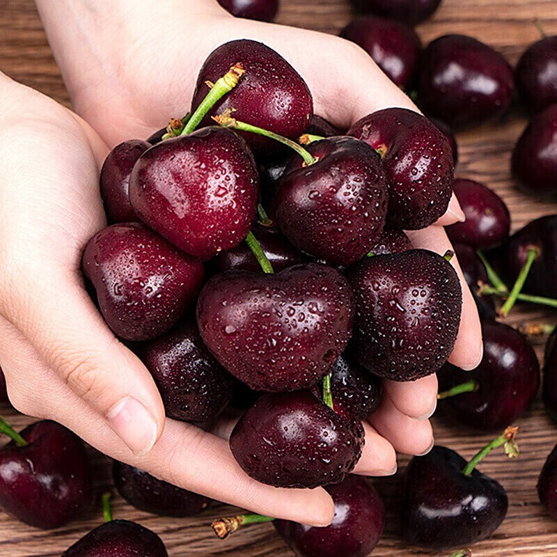 Caiti Chile imported cherries 5kg4j fresh cherries next day delivery cherry fresh fruit seasonal whole box 4kg (net weight) gift box 4J 32mm (inclusive)-34mm (inclusive)