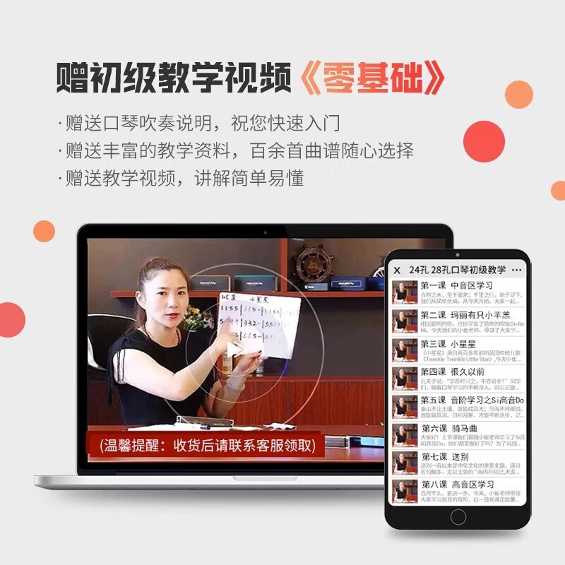 Swan German imported gongs Swan harmonica adult polyphonic accent C key high-end professional performance instrument 24-hole polyphonic C key high-end adult performance